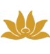 Vietnam Virlines